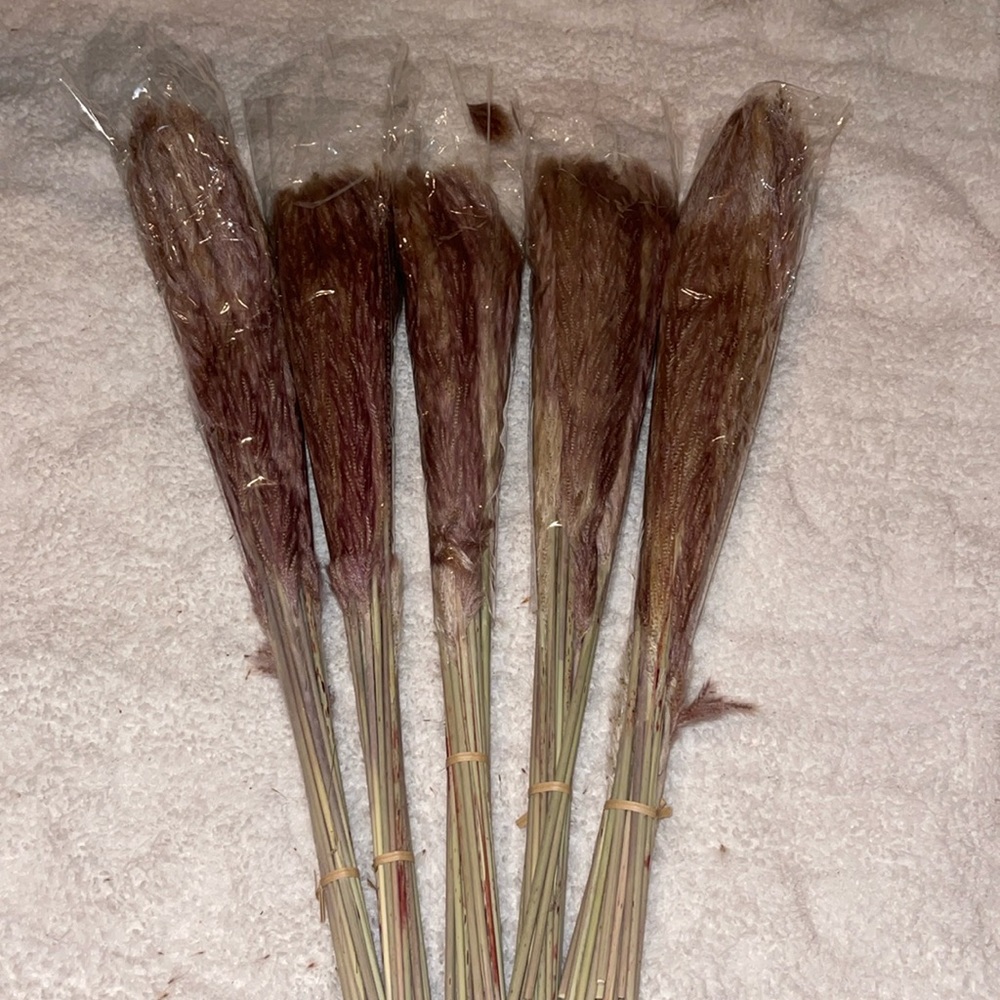 Pampas grass new in wrapper but no box each set comes with 20 pieces